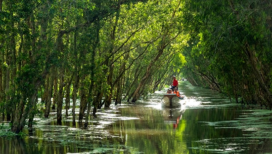 Du khách khám phá rừng tràm Trà Sư. Ảnh: XUÂN THỌ