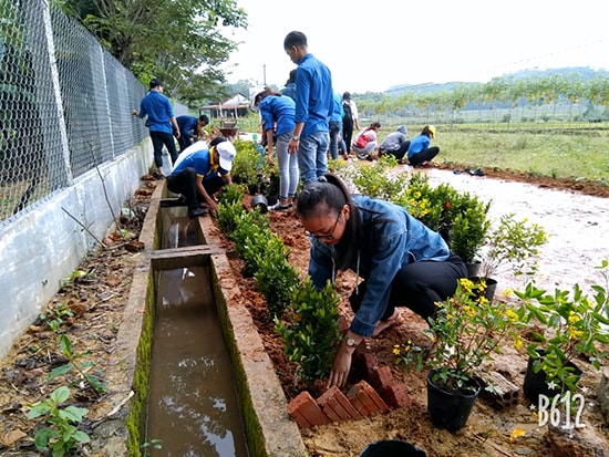 Đoàn viên, thanh niên làm sạch cỏ để trồng các loại hoa.