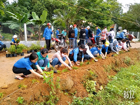 Trồng hoa không chỉ làm đẹp cảnh quan nông thôn mà còn nâng cao ý thức, trách nhiệm của người dân trong việc chung tay bảo vệ môi trường.