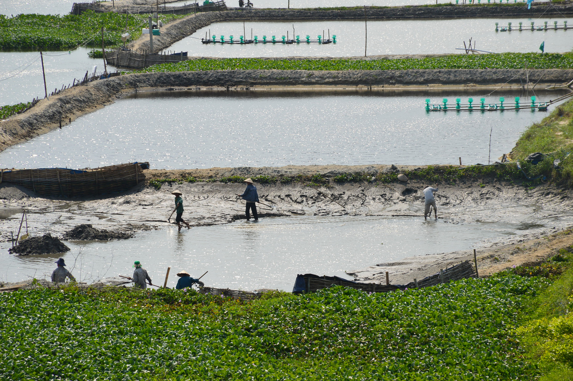 Người dân nuôi thủy sản cần sử dụng nguồn nước ngầm hợp lý để bảo vệ môi trường. Ảnh: Q.T