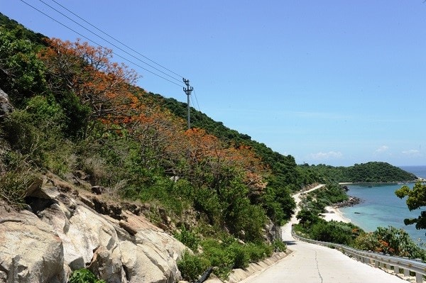 A view of Cham Islands