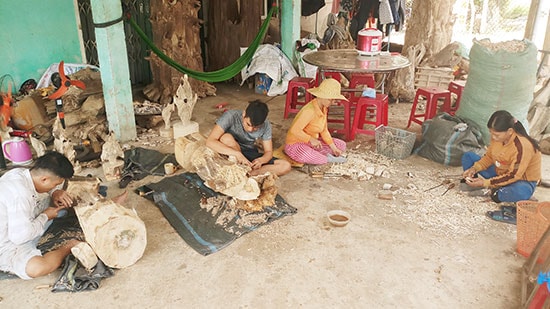 Hợp tác xã Trầm hương Tiên Phước giải quyết công việc cho khoảng gần 20 lao động thường xuyên trên địa bàn. Ảnh: N.H