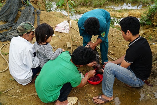 Thanh niên trong làng chuẩn bị cho ngày giỗ.