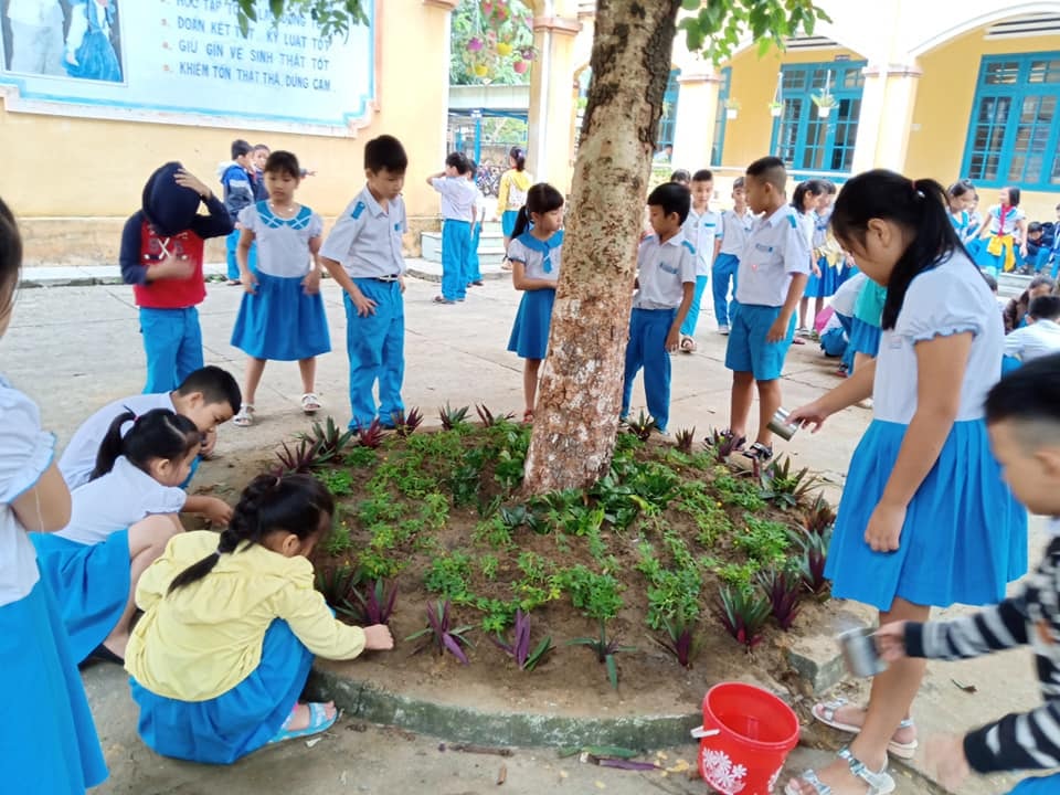 Học sinh Trường TH Trần Quốc Toản trồng và chăm sóc hoa. Ảnh T.Q.T