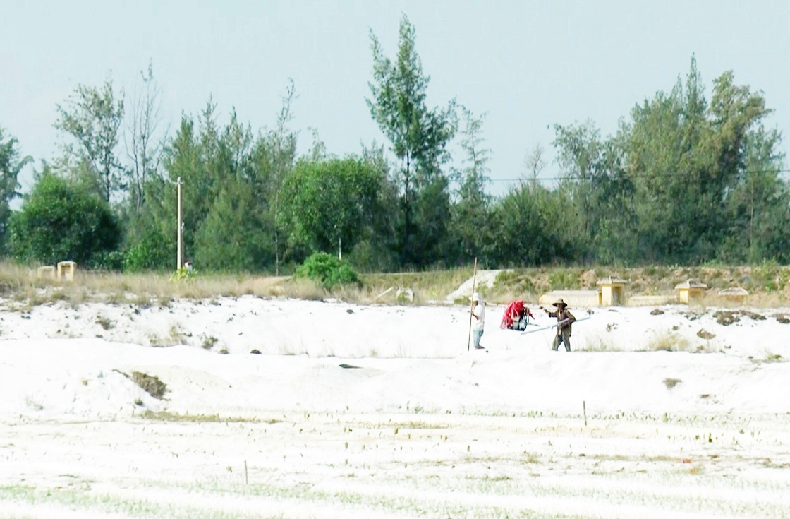 Một trong những cánh đồng khan hiếm nước tưới ở xã Bình Giang. Ảnh: VINH TOÀN