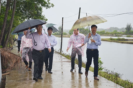 Chủ tịch UBND tỉnh Đinh Văn Thu kiểm tra vệt giải phóng mặt bằng là đất nuôi trồng thủy sản tại xã Tam Hòa (Núi Thành) mới đây. Ảnh: T.HỮU