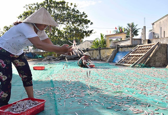 Bà Cúc cùng mẹ phơi cá cơm trên lưới để vừa ráo nước vừa tránh cát bám vào cá.