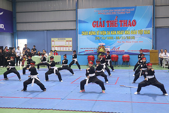 Học sinh tiểu học của Tam Kỳ biểu diễn võ cổ truyền. Ảnh: T.X