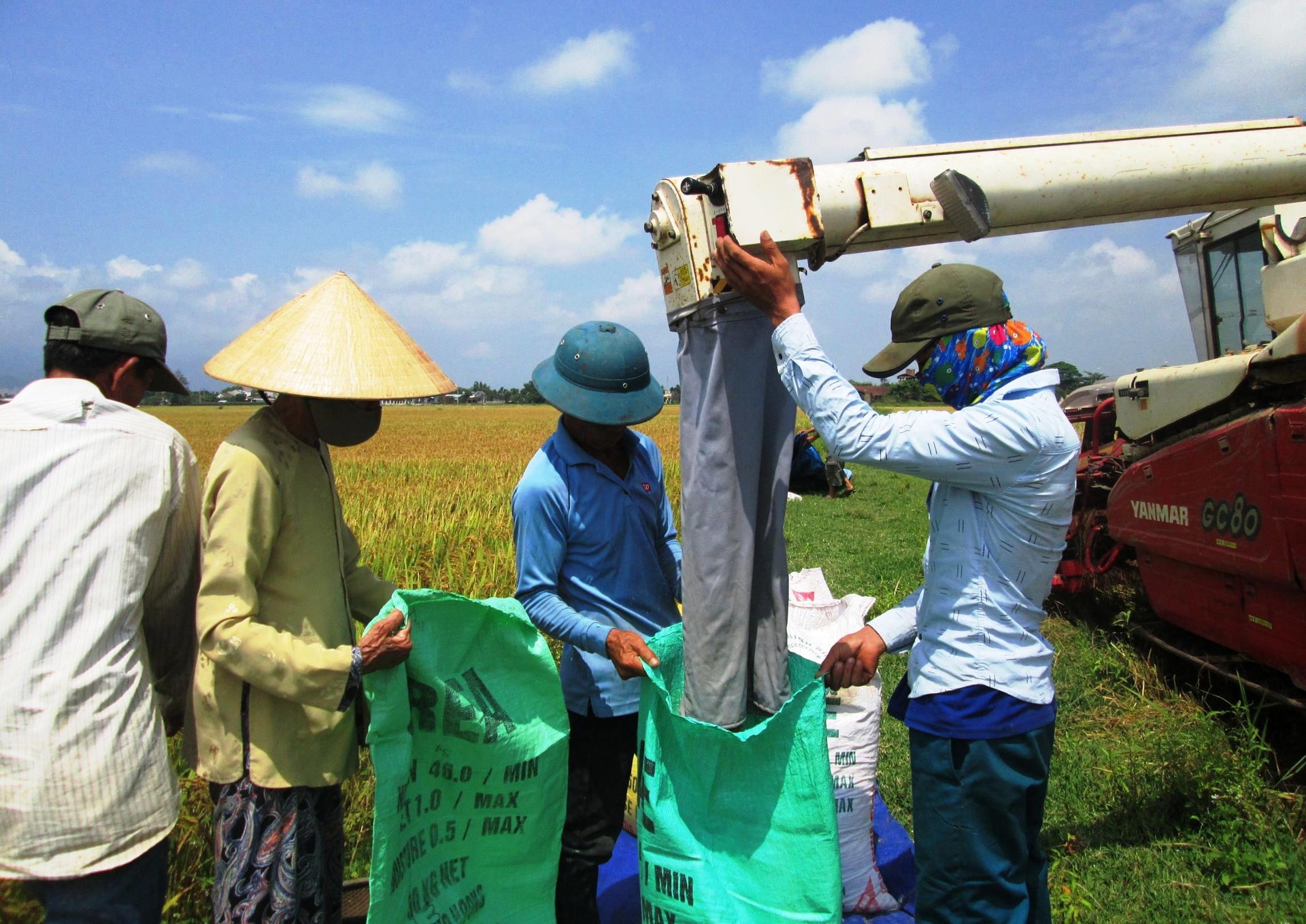 Năm 2018, năng suất lúa bình quân của Duy Xuyên đạt 59,1 tạ/ha. Ảnh: HOÀI NHI