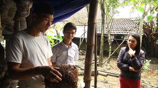 Mô hình trống nấm rơm mang lại hiệu quả kinh tế của anh Lê Thanh Hùng (người bên trái ảnh).