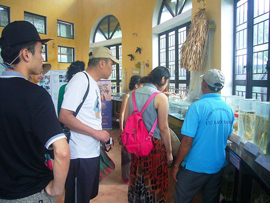Du khách tham quan, tìm hiểu tại Trung tâm truyền thông Khu bảo tồn biển Cù Lao Chàm.