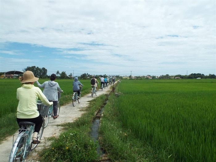 Ecotourism in Cam Thanh