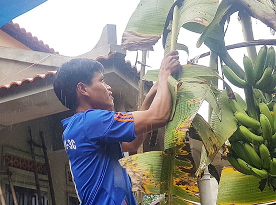 Giờ đây Trịnh Minh Hiển đang chú tâm làm ăn vì con cái. 