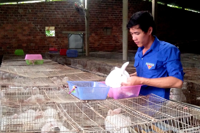 Mô hình chăn nuôi khép kín đầy hiệu quả giúp Nguyễn Văn Thành có thu nhập cả trăm triệu đồng mỗi năm. Ảnh: SƠN ĐẠO