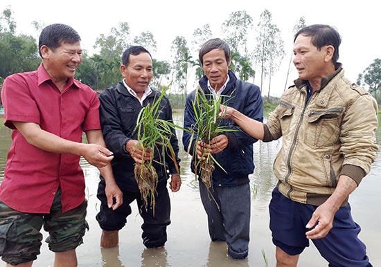 Nhóm nông dân Bình Quý cùng chung ý tưởng về làm nông nghiệp hữu cơ đã thành lập nên HTX và bước vào con đường sản xuất minh bạch.