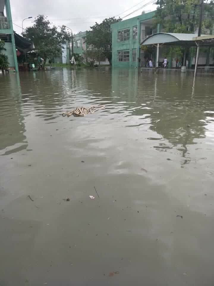BVĐK Quảng Nam lo ngại môi trường ô nhiễm khi bị ngập lụt.