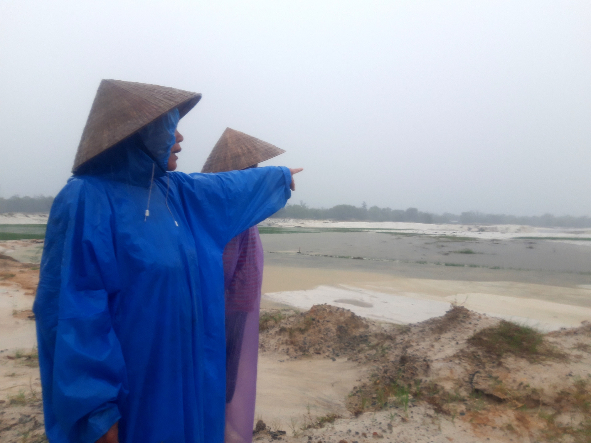 Người dân xã Bình Giang bất lực nhìn ruộng bị bồi lấp . Ảnh: Hồ Quân