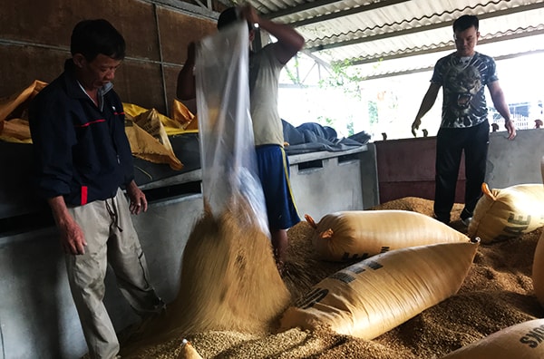 Người dân vùng lũ đã dùng bao ni lông bao bọc nhưng không tránh được cơn lũ. Ảnh: MINH HẢI