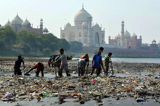 Những công nhân dọn dẹp vệ sinh môi trường xung quanh đền Taj Mahal. Ảnh: thelogiclindian