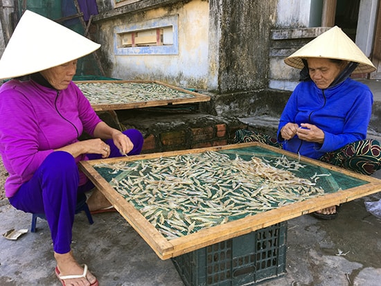 Người dân địa phương, trong đó có nhiều người lớn tuổi có thu nhập ổn định nhờ làm việc ở cơ sở chế biến hải sản khô của chị Mẫu. Ảnh: KL