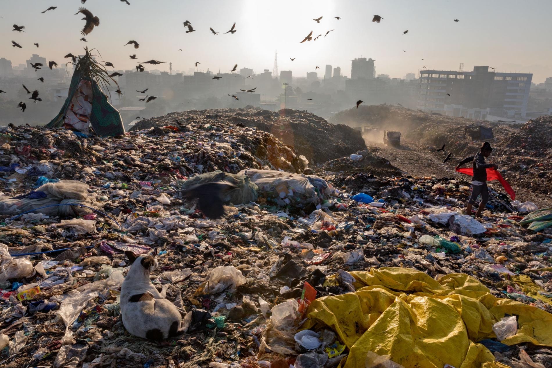 Rác thải nhựa, một trong những vấn đề nóng của thế giới trong năm 2018. Ảnh: nationalgeographic