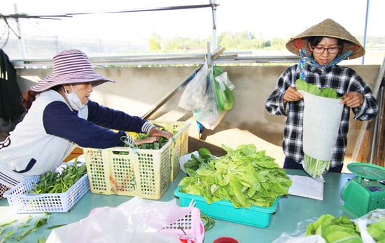 Phú Ninh tập trung sản xuất theo hướng thực phẩm an toàn. Ảnh: PHAN VINH