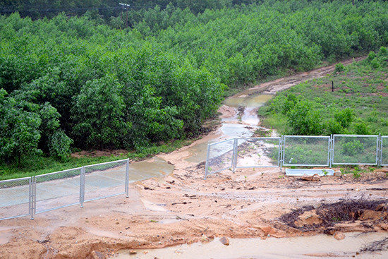 Bên cạnh nhiều đoạn chưa lắp đặt, không ít vị trí hàng rào bảo vệ thuộc cao tốc Đà Nẵng - Quảng Ngãi bị ngã đổ, hoặc bị lấy mất chưa được chủ đầu tư bổ sung.