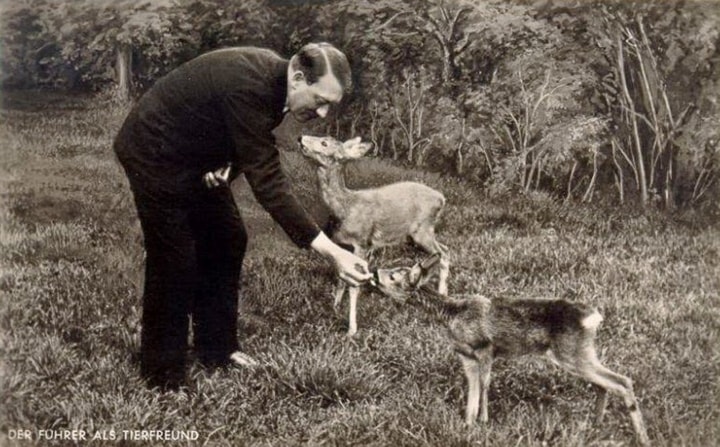 Hitler cho các con vật ăn.