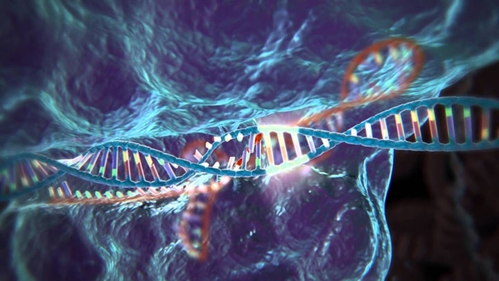 Năm 2018 là một năm có ý nghĩa đối với những tiến bộ trong chỉnh sửa gen CRISPR, (thí nghiệm thành công trên chuột), tác động các bệnh béo phì, tự kỷ, chứng loạn dưỡng cơ Duchenne, chứng mất trí, nghiện cocaine...