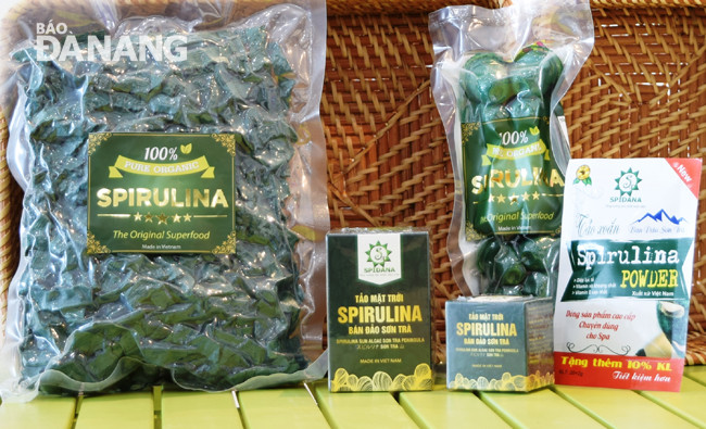 Sản phẩm tảo xoắn Spirulina ở dạng tươi và bột khô. Ảnh: N.TRÂN