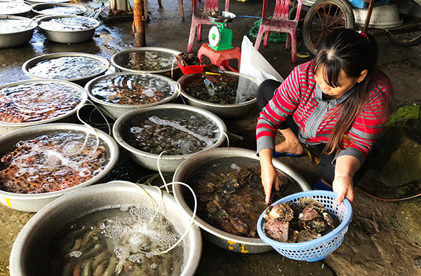 Chợ hải sản tươi sống của ngư dân cuốn hút du khách. Ảnh: MINH HẢI