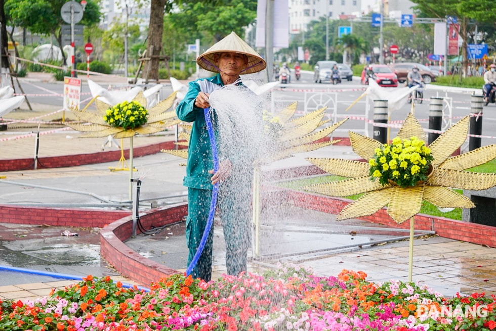 Các công nhân đang tích cực chăm sóc, tưới nước cho những chậu hoa Tết tại đường hoa. Ảnh: KHẢ THỊNH