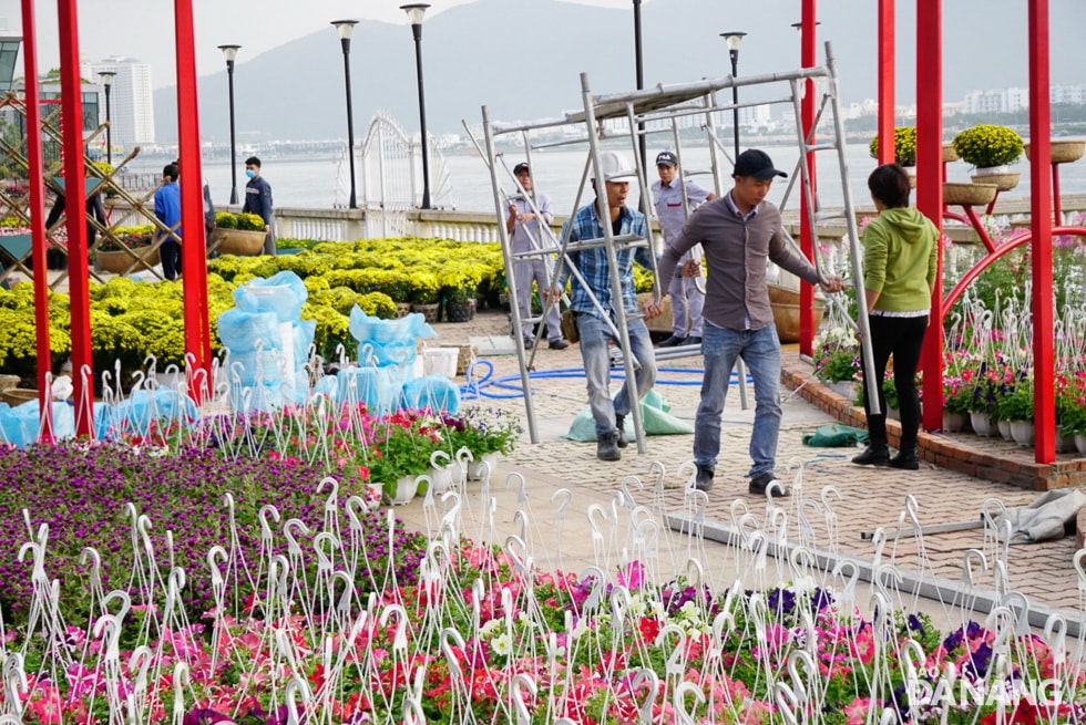 Việc lắp đặt các tiểu cảnh và cây hoa tại đường hoa diễn ra hết sức khẩn trương. Ảnh: KHẢ THỊNH