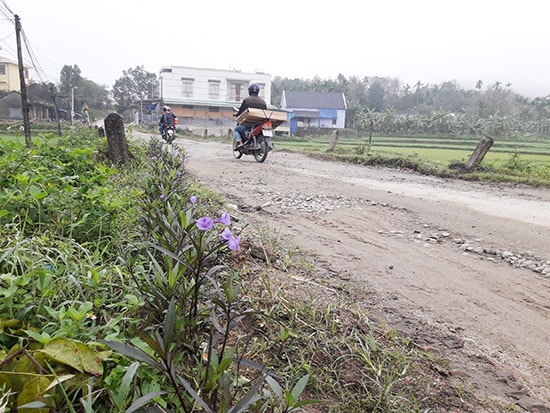 Đường hoa của hội phụ nữ xã Tiên Mỹ đã thay thế hoàn toàn bãi rác ô nhiễm trước đây. Ảnh: P.H