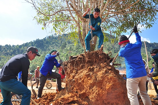 Thanh niên các xã trong huyện Tây Giang cũng về thôn Abanh 2 để thực hiện các phần việc giúp dân. Ảnh: VINH ANH