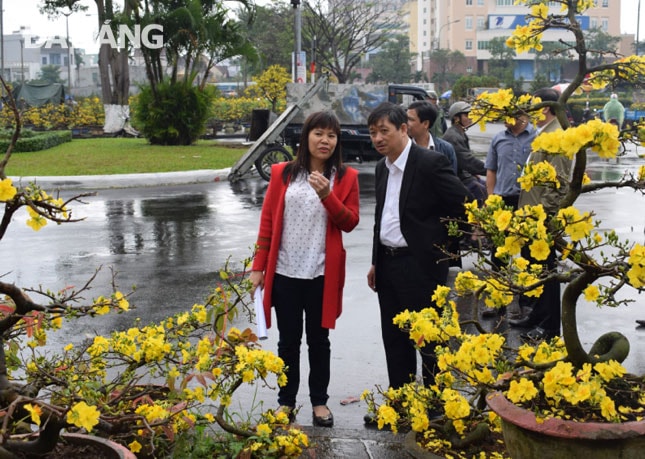 Phó Chủ tịch Thường trực UBND thành phố Đặng Việt Dũng đến kiểm tra công tác triển khai chợ hoa Tết Kỷ Hợi 2019 vào sáng 30-1. Ảnh: KHÁNH HÒA