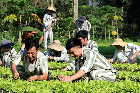 Trên vườn rau của trại. Ảnh: T.C