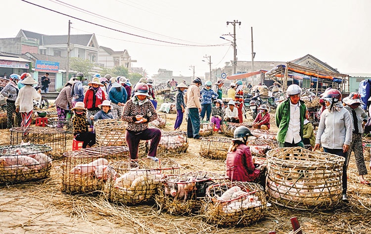 Nhộn nhịp chợ heo Bà Rén.