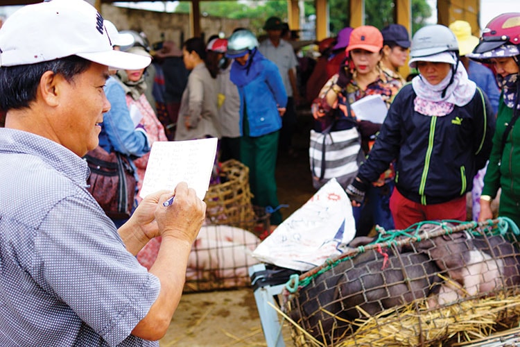 Ông Phạm Cư - quản lý chợ cho biết, qua ghi chép, trung bình số lượng heo tập trung về chợ mỗi ngày khoảng 700 con.