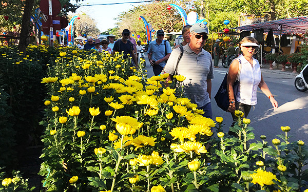 Hoi An flooded with flowers on the threshold of the lunar New Year.