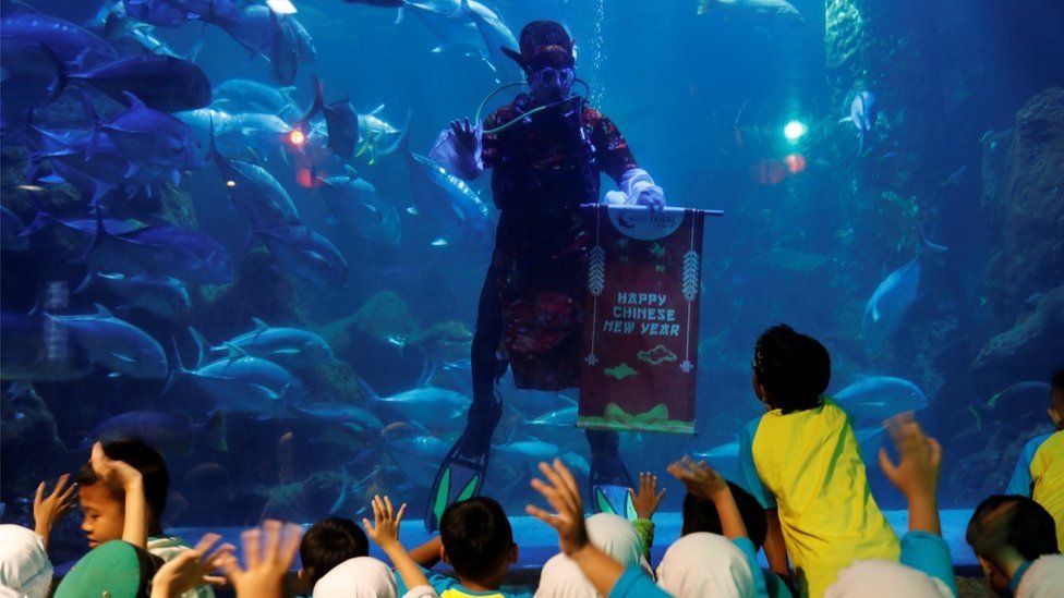 Thợ lặn ở công viên biển Seaworld, Indonesia vẫy chào các em cùng nhau chào đón lễ hội mùa xuân. Ảnh: Reuters