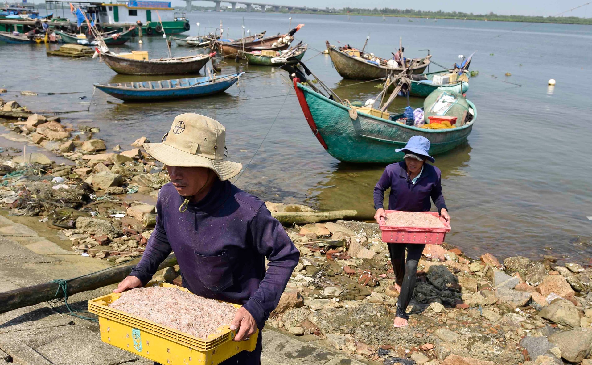 Trong ngày đi biển đầu năm, anh Nhất và anh trai khai thác được hơn 1 tạ ruốc tươi.