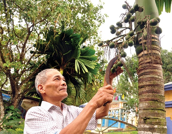 Ông Vũ Xuân Sơn - nguyên Bí thư Huyện ủy Tiên Phước với cuộc sống đời thường. Ảnh: NGUYÊN ĐOAN