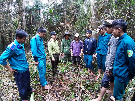 Lực lượng kiểm lâm tuyên truyền cách nhận biết cây dược liệu cho cộng đồng bảo vệ rừng.