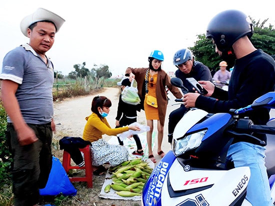 Bắp tươi bán ven đường ở Đại Lộc. Ảnh: B.A