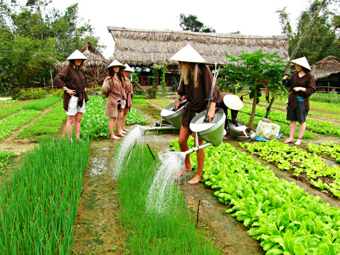 Foreign tourists are watering vegetables in Tra Que village. Photo: huevacations
