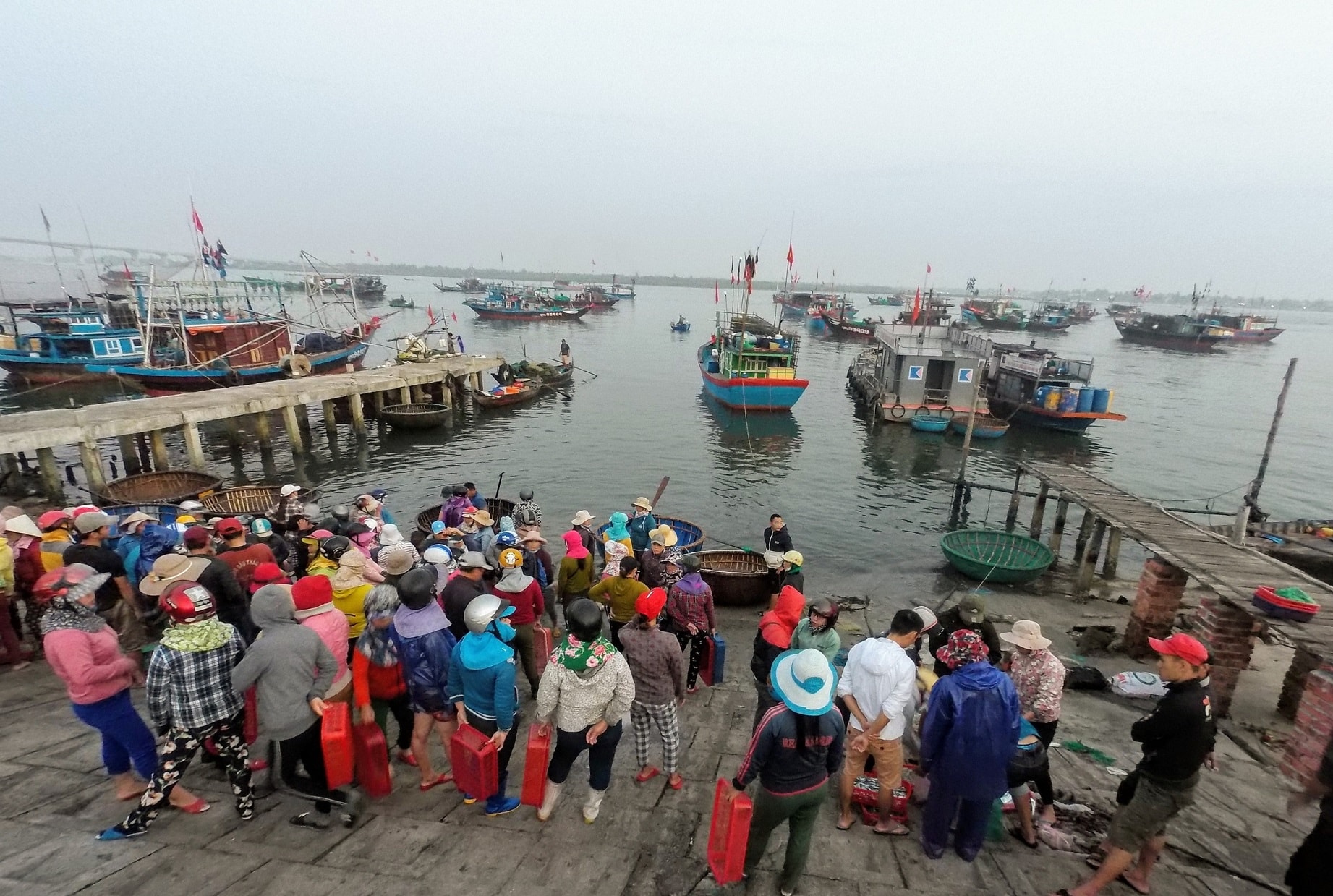 Cảnh đón hàng mỗi buổi ở Cảng cá An Lương.  Ảnh: B.A