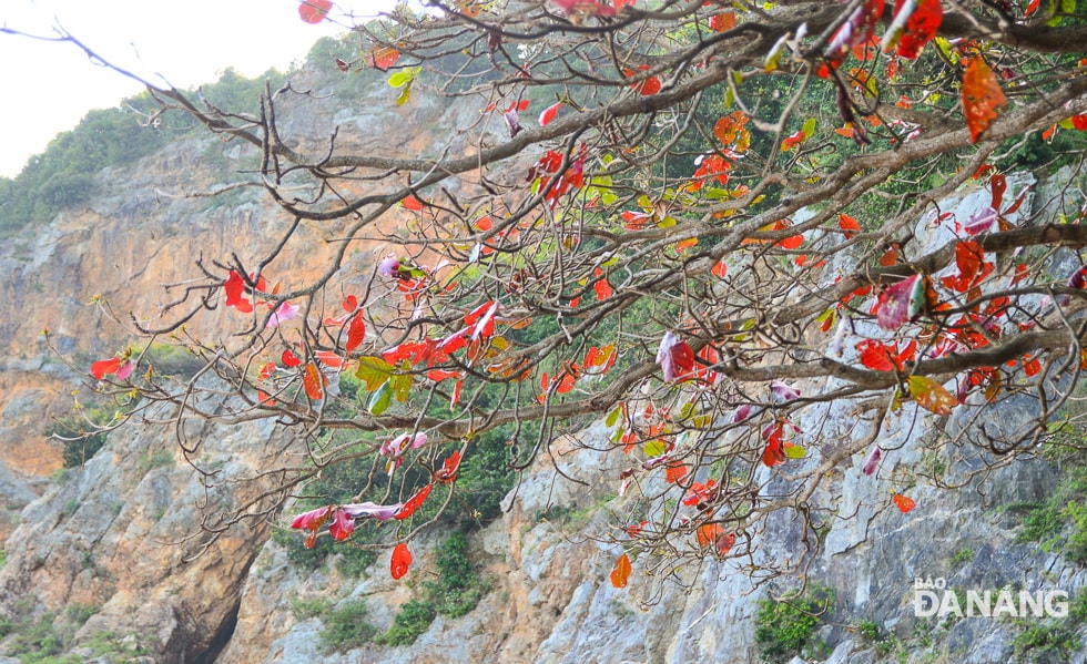 Những  