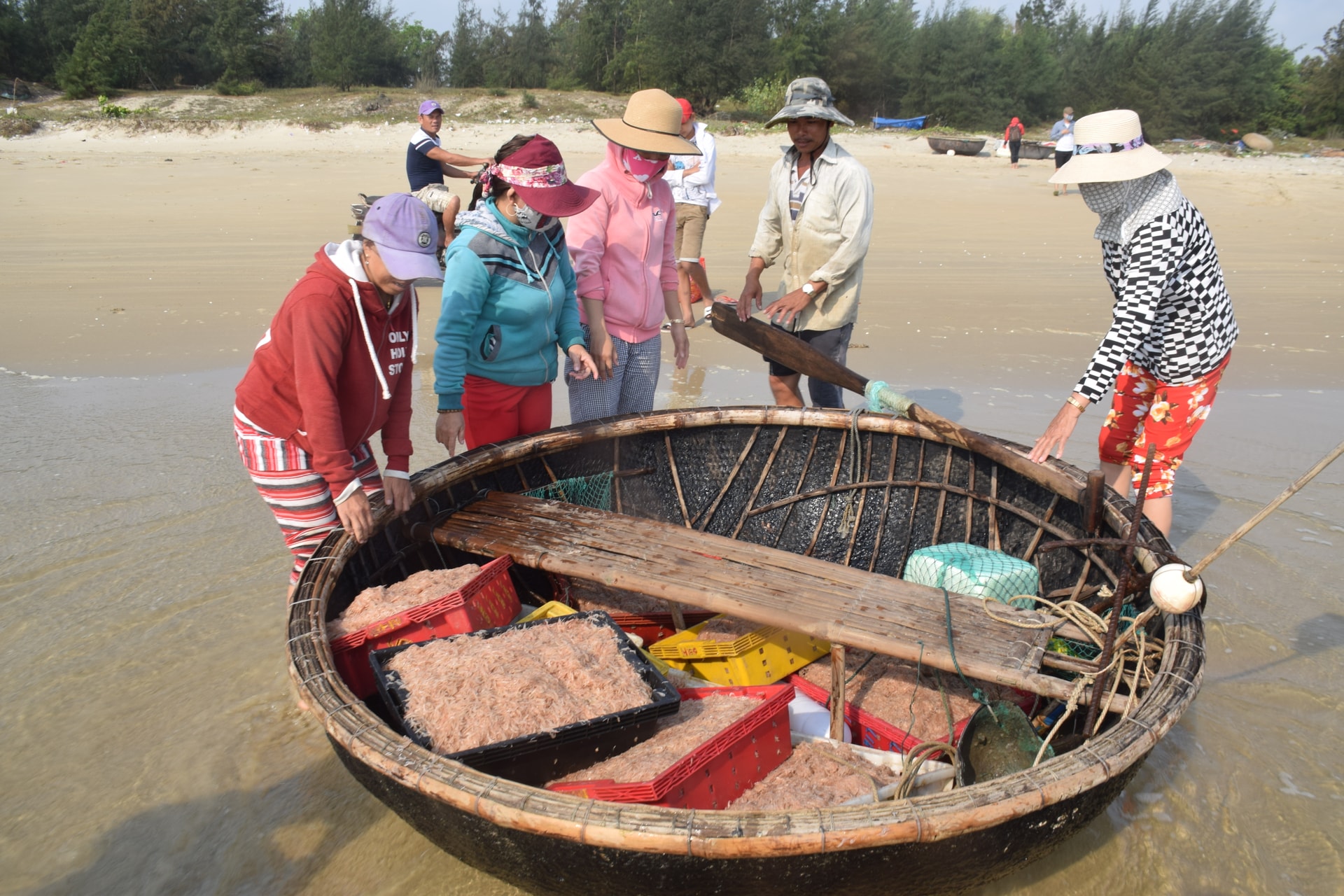 Những ghe chở ruốc vào bờ. Ảnh: THANH THẮNG