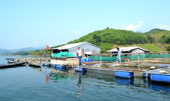 Đồng bào vùng cao nuôi cá trong lồng bè ở hồ thủy điện Sông Tranh 2. Ảnh: QUANG VIỆT